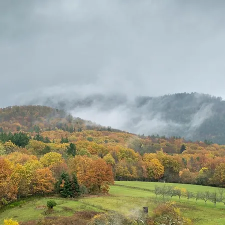 Semesterbostad Hohwarth - Le Contemporain - 6 Personnes Saint-Pierre-Bois