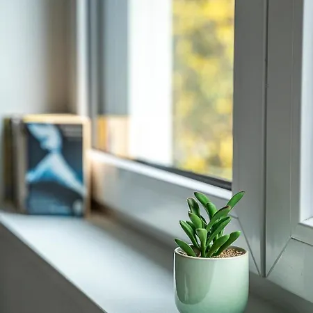 Semesterbostad Hohwarth - Le Contemporain - 6 Personnes *