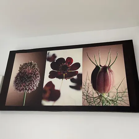 Hohwarth - Le Contemporain - 6 Personnes Semesterbostad *