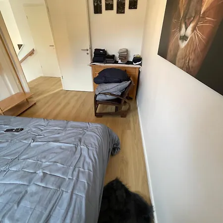 Semesterbostad Hohwarth - Le Contemporain - 6 Personnes Saint-Pierre-Bois