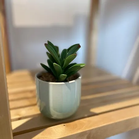 Hohwarth - Le Contemporain - 6 Personnes Semesterbostad Saint-Pierre-Bois