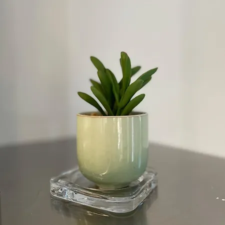 Hohwarth - Le Contemporain - 6 Personnes