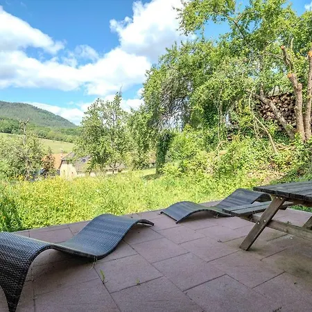 Hohwarth - Le Contemporain - 6 Personnes Feriehus *
